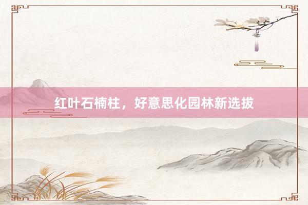 红叶石楠柱，好意思化园林新选拔